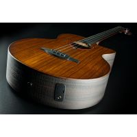 Lâg Basse Acoustique Fretless Jumbo Pan Coupé Electro, avec housse - Vue 6