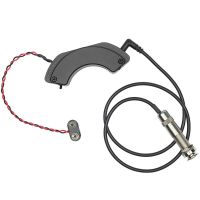 Fishman Fluence Acoustic Spotlight - Vue 1