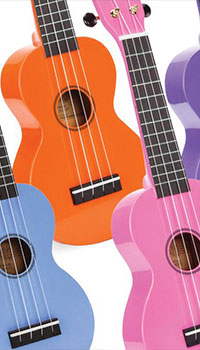 Budget ukulele